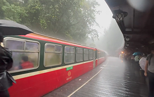 (影)直擊阿里山暴雨挾1公分冰雹狂砸!旅客驚呼連連