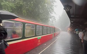 (影)直擊阿里山暴雨挾1公分冰雹狂砸！旅客驚呼連連