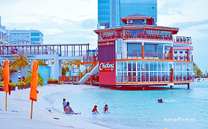 專論》散步直到街燈都亮了- 摘錄自「北京的秋天」