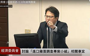 立院討論成立進口雞蛋調查小組 綠委氣炸連環罵：違法又違憲