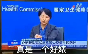 (影) 主任，快摘錶！央視直播她忙摘180萬錶 流落金邊汪文斌與「波神」齊現身