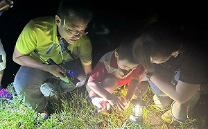 夜訪貓頭鷹！知本森林遊樂區夜間探索活動開跑