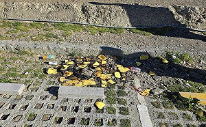 武嶺一早出現燃燒紙錢！林業署：可開罰3000元罰鍰