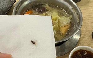 吃火鍋吃到老鼠屎？顧客發燒送急診！衛生局要查了