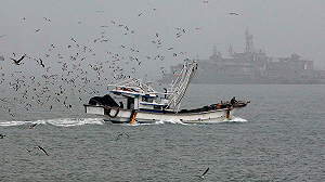 北韓武裝船闖入經濟海域  日本抗議