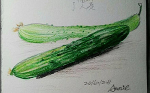 畫出生命的圓  藝術家的筆下人生