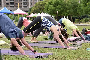 真的假的！　練瑜珈還能護樹？