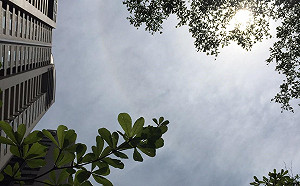 紫外線狂飆  入夏來最熱的一週