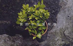 超乎你我想像　網路廣告超吸睛！