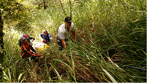 南投登山客墜谷 救難隊人力搬運救出
