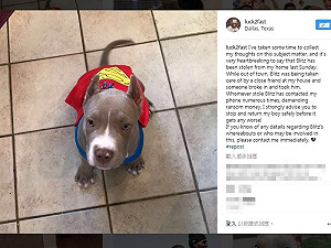 NFL球員分享照片 愛犬竟遭綁架勒贖