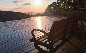 找「茶」嗎？ 貓空小旅行冷泡茶消暑正夯