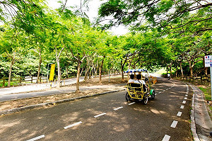 后豐鐵馬道改善工程施工封閉   請民眾依導引改行替代道路