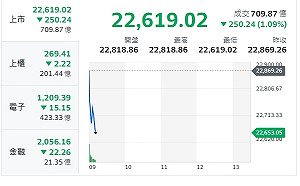 台股開盤》拜登退選 美盤後反彈 台股續走跌