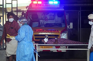 致死率75%! 這病毒會攻擊人類肺部和大腦 印度又一男童死亡