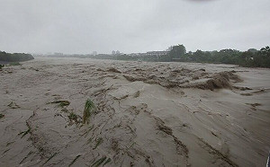 嘉義八掌溪水暴漲溢堤 37人受困路中或民宅獲救