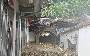 凱米颱風釀5死531傷！災情1萬954件路樹最多、78萬3598戶曾停電