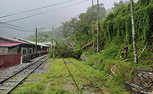 小火車將開了！阿里山森林遊樂區林鐵支線29日復駛