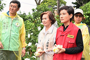 視察宜蘭農損災情 鄭麗君:已有7種農作物達農保理賠標準