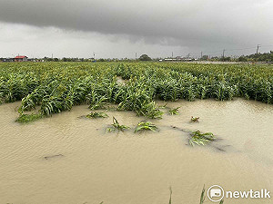 颱風凱米農損逾21億元 雲林屏東皆逾4億元最嚴重