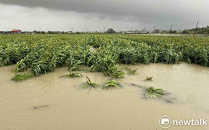 颱風凱米農損逾21億元 雲林屏東皆逾4億元最嚴重