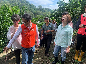 台中多區香蕉竹筍災損嚴重 何欣純爭取擴大全品項補助