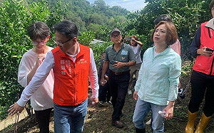 台中多區香蕉竹筍災損嚴重 何欣純爭取擴大全品項補助