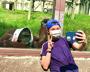 曾圈粉世界球后戴資穎 壽山動物園紅毛猩猩「咪咪」辭世