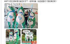 民眾黨再被抓包黨慶疑似用淘寶貨 網酸：井底之蛙