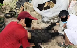 (影) 離奇！ 雲南村民被四川氣象砲彈砸斷腿 相關單位 : 不能透露