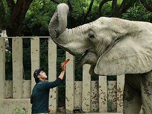 父親節致敬保育員!壽山動物園表彰超級奶爸愛心