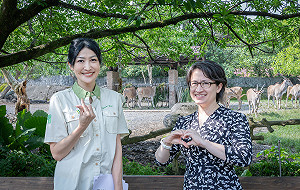 首訪台北市立動物園 蕭美琴看羚羊賀「麟洋配」奪金