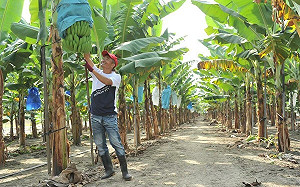 農民職災保障 9月再升級  34萬人受惠！每案增給8160元