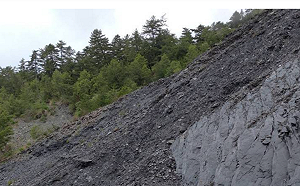 登山注意！能高越嶺國家步道、天池山莊 休園至年底