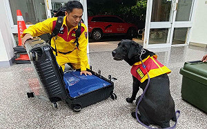 Kaohsiung Can Help！  高市特搜隊待命馳援九州強震 