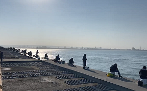 全台7商港開放免費垂釣區！港務公司：7個月14萬人次進場