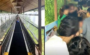 中國廣西｢登高觀瀑魔毯｣故障釀1死60傷 遊客：那些人胳膊皮都掉了