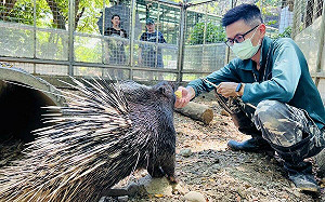 嚴正駁斥議員不實指控 壽山動物園:動物照護嚴謹、認養經費公開透明