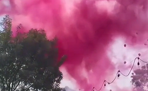 性別趴粉色煙霧直竄天際！環保局認違法  最重可罰500萬