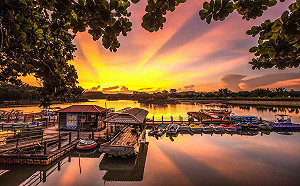 慶台南400！虎頭埤推限量雙年卡「29個月1999元」無限入園