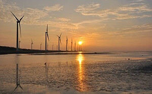 台中看夕陽注意了！高美濕地木棧道施工 9/2起封閉