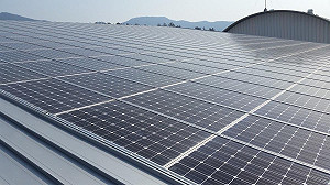 有望告別煤炭? 歐洲太陽能發電量大躍進 史上首度超越燃煤