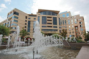 長榮沒掛五星旗被逼道歉 外交部:中共以商逼政