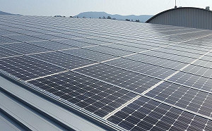 有望告別煤炭? 歐洲太陽能發電量大躍進 史上首度超越燃煤