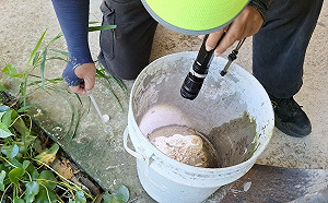 逾11週未再有新增個案 高雄今年入夏維持2例本土登革熱