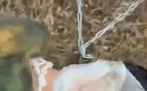 (影) 驚見俄軍「鐵鏈兵」! 長官防逃跑把兵捆一起集體被俘、俄又一州戰事緊繃....