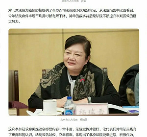 中國人大代表涉嫌在加拿大擄華裔童! 加智庫 : 北京恐嚇當地華人日益嚴重