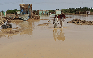 奈及利亞大洪水逾20萬人流離失所 170人死亡、蘇丹大雨大壩倒塌災情慘重