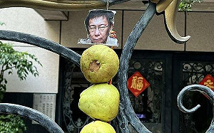 諷刺！民眾黨519上街高舉芭樂 台灣國今赴柯文哲家怒掛「爛芭樂」 