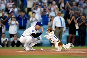 (影)大谷翔平帶愛犬開球!直呼好緊張:訓練3禮拜